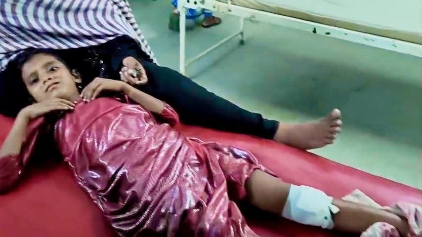 কালাইনে পাগলা কুকুরের তাণ্ডব, আহত ১৫ জনেরও বেশি!